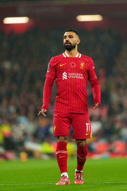 再次证明了 再次证明了