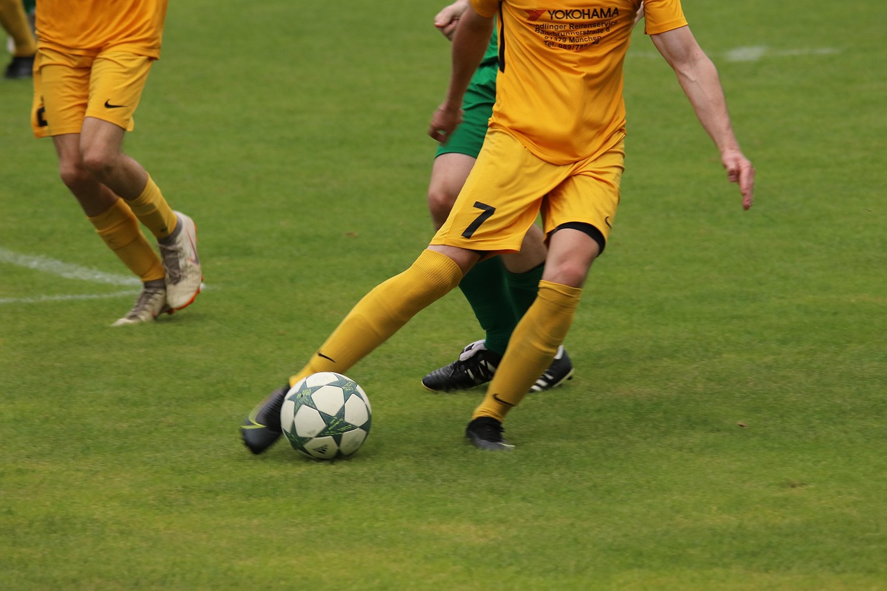 他以敏锐的 他以敏锐的