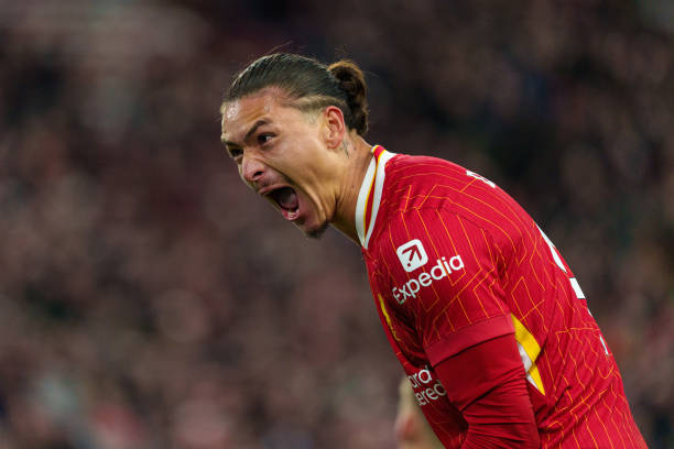 凡的乒乓球 凡的乒乓球