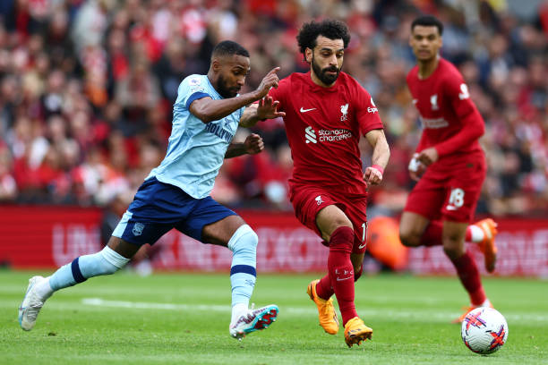 育中的忠诚 育中的忠诚