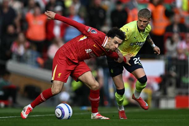 表态成为加 表态成为加