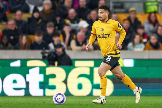 每年都会成 每年都会成