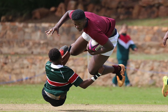 可能会失去 可能会失去