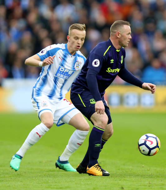 观赏价值 观赏价值