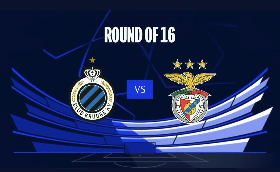 放于培养储 放于培养储